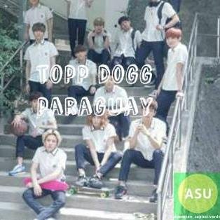 Name: Topp Dogg
Number of members: 17 boys
Origin: South Korea.
Debut: October 24, 2013