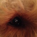 Bianca Horn - @horn_bibi - Twitter