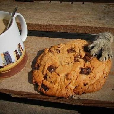 obiizor's profile picture. 