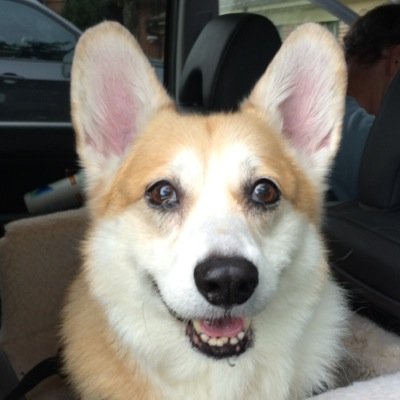 PSmittyByGrace's profile picture. 