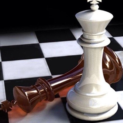 shadisilmi1's profile picture. 