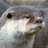 kephis0s's profile image