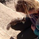 Karin Stevens - @karinstevens7 - Twitter