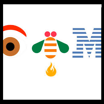 IBM Canada Employees' Charitable Fund - CanWest // 2015 Campaign