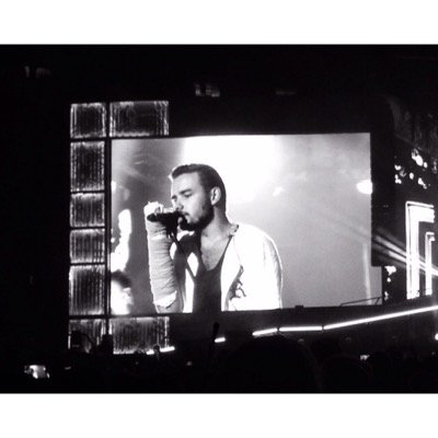 liam and harry are my favs but i love them all.