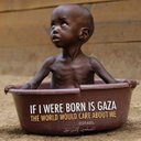 david avigdor - @AvigdorDavid - Twitter