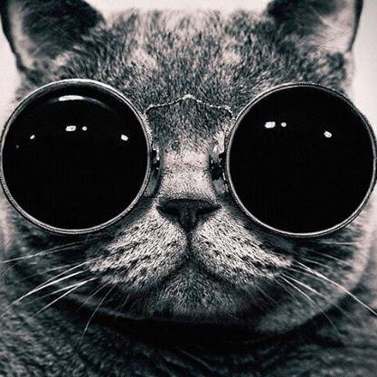 Bitches In the house! ☠ ✌ † ♆ ☼ ✝ ♣ ☢ ♐ ✡ ✵.¿What time is it?ADVENTURE TIME! ☆ﾟ. Skate Time☆ﾟ.  ¿Sabes quien mas tiene twitter?Mi mami!