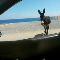 memzi (@memz_d) 's Twitter Profile