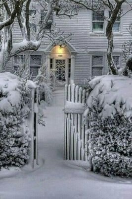 abood1716's profile picture. حلو تكون مثل البحر بلا آهآات ظاهرك هآدي وأنيق وداخلك  عالم عميق