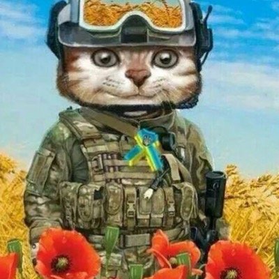 viva777color's profile picture. Веселье, Дизайн, Лайфхак, Яблоки, Украина. Всем добра!!!