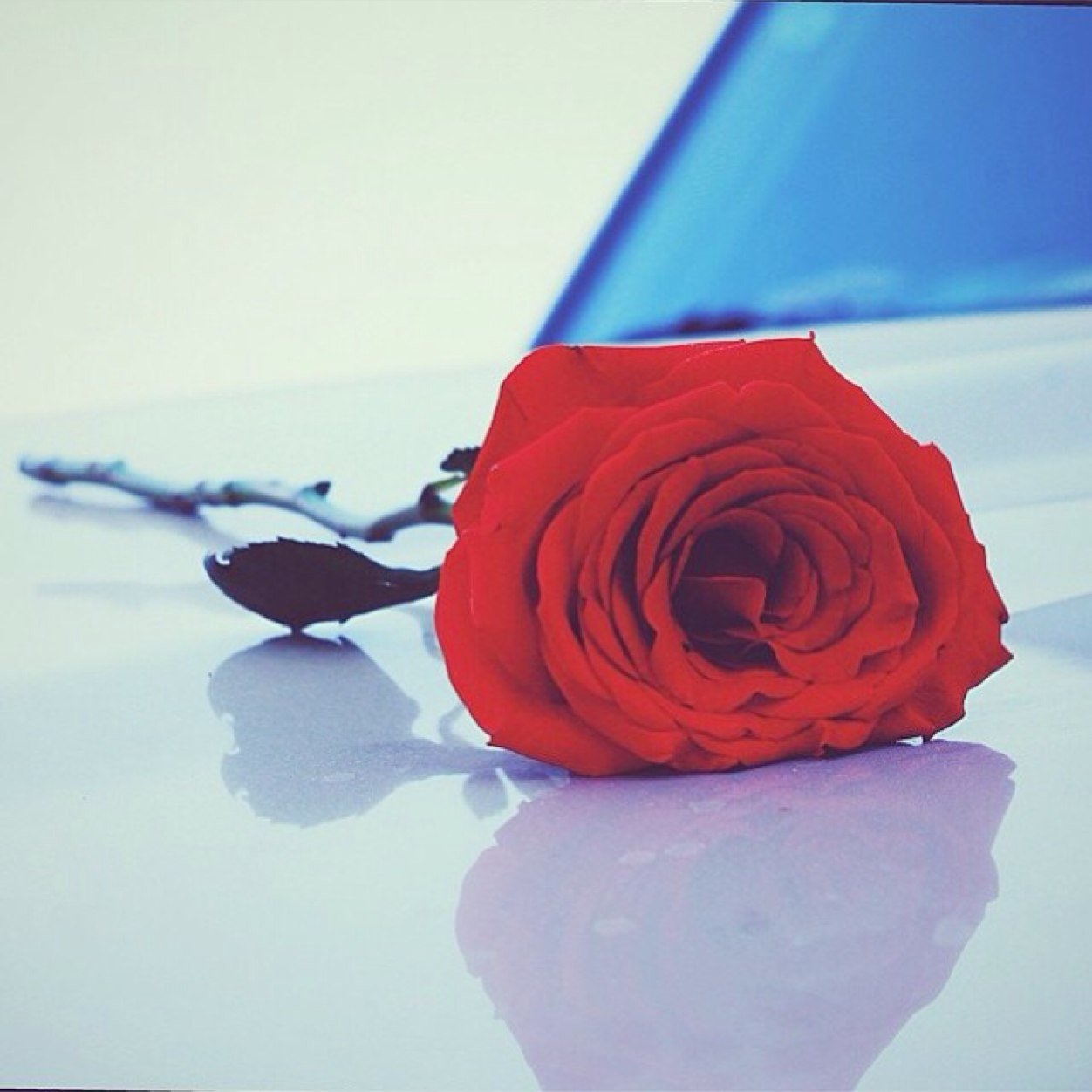 اللہم انك عفو تحب العفو فاعف عنا,♡