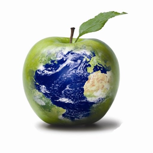 Apoyando la Revolución Energética con Energías Alternativas - Energías 100% Limpias
