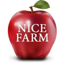 hyipcontrols's profile picture. Зарабатывай с Hyip Controls без потерь и рисков! С нами удобно,стабильно,у нас только проверенные инвестиционные проекты!Платим рефбек до 100%!