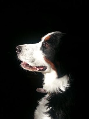 minniemoe99's profile picture. 