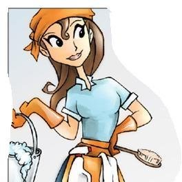 cleaning company based out of Holley, Ny
