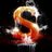slivup_biz's profile image