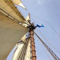 Alison Hardie (@lallybh) 's Twitter Profile Photo