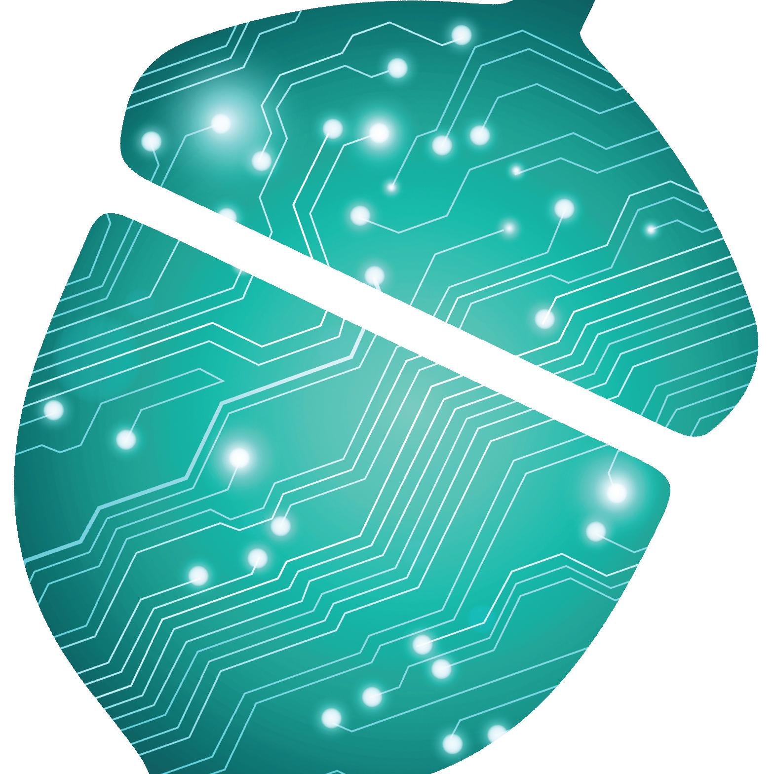 Cybernut Solution specializes in helping healthcare, financial and business with leading IT support and services. We are your managed services provider.