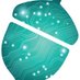Cybernut Solutions (@cybernut_it) Twitter profile photo