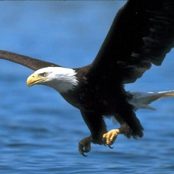 fvepto's profile picture. We are only as strong as our members.
Fairview Elementary School