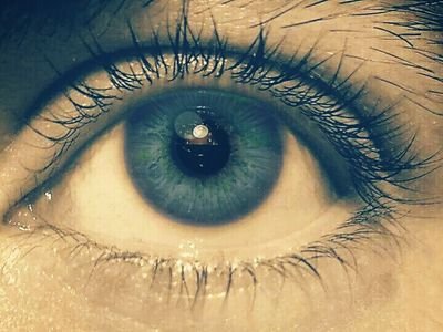 LeoLeitoRC's profile picture. 