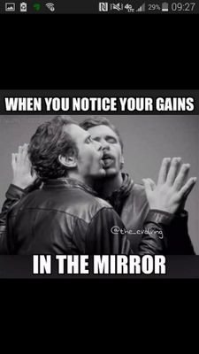 bodybuilding and gains. just here to be healthy and lift heavy weights.