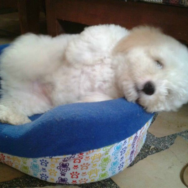 Procura ser tan fuerte para que nadie pueda herirte! ♥ :3