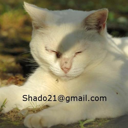 shado21's profile picture. 植物好きなおぢ。最近nikon爺をサボってます。

まとめサイトや外部への転載は総て有償としております。(要審査)