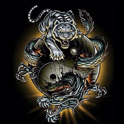 borkus13's profile picture. 