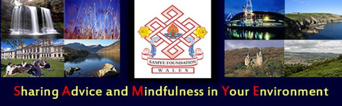 Mindfulness and Wellbeing Center with Buddhist arm