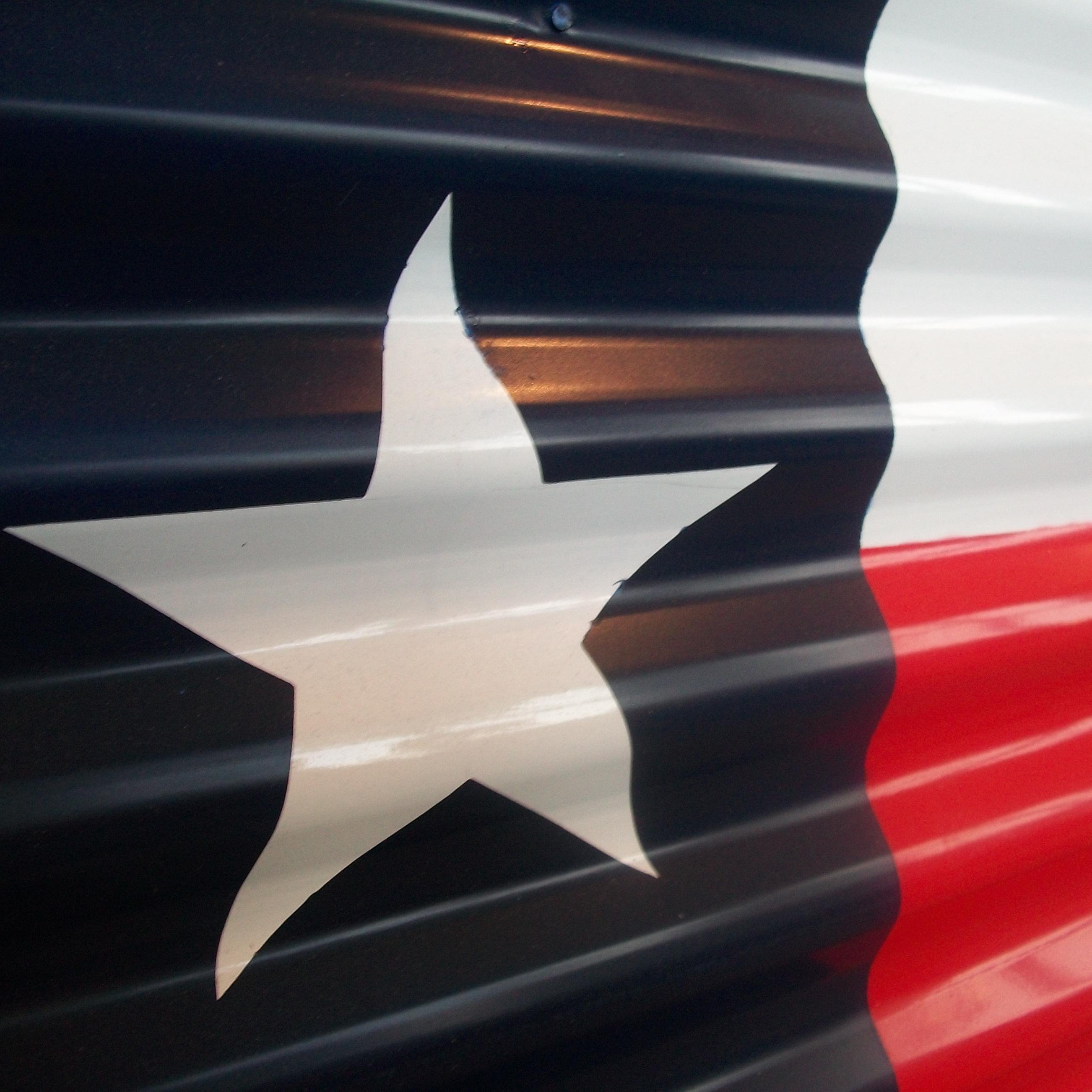 Texas Storage Auction Schedules & News