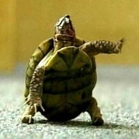 The Scuba Site (@thescubasite) 's Twitter Profile