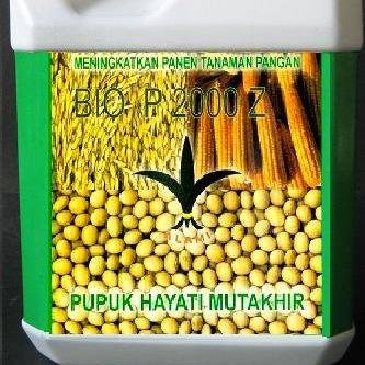 Produk Pupuk Hayati Organik Mikroba Google Bio P2000Z Original.Waspadai Produk Tiruan info resmi hubungi edy 0812 3154 4955 pin:2B 8B 52 E6 pupukbiop2000z@gmail