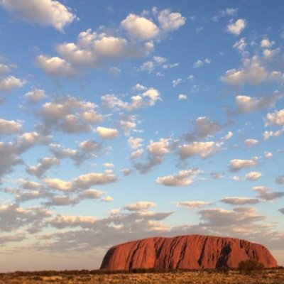 under2stand's profile picture. けんこうだいいち。いのちをだいじに。