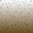 twirsm's profile image