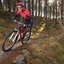 Paul Masson - @Aviemoron - Twitter