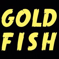 G O L D F I S H (@goldfish_bali) 's Twitter Profile