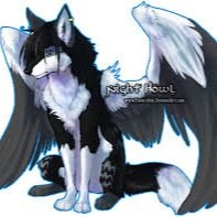 ♥️:none♥️ ♣️:none♣️ ♦️:none♦️ ♠️:none♠️ Male. Growls a lot. Emotionless. Demon. Bisexual. Has wings. Lost his sense of smell.