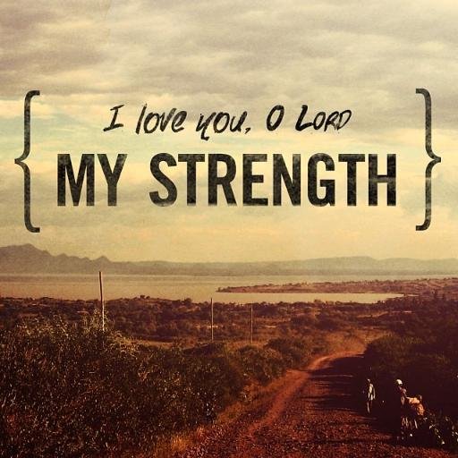 DefinedMind's profile picture. My twitter is my pinboard.                                  {aiming toward life before the fall}                                        †  ←Now THAT is Love.