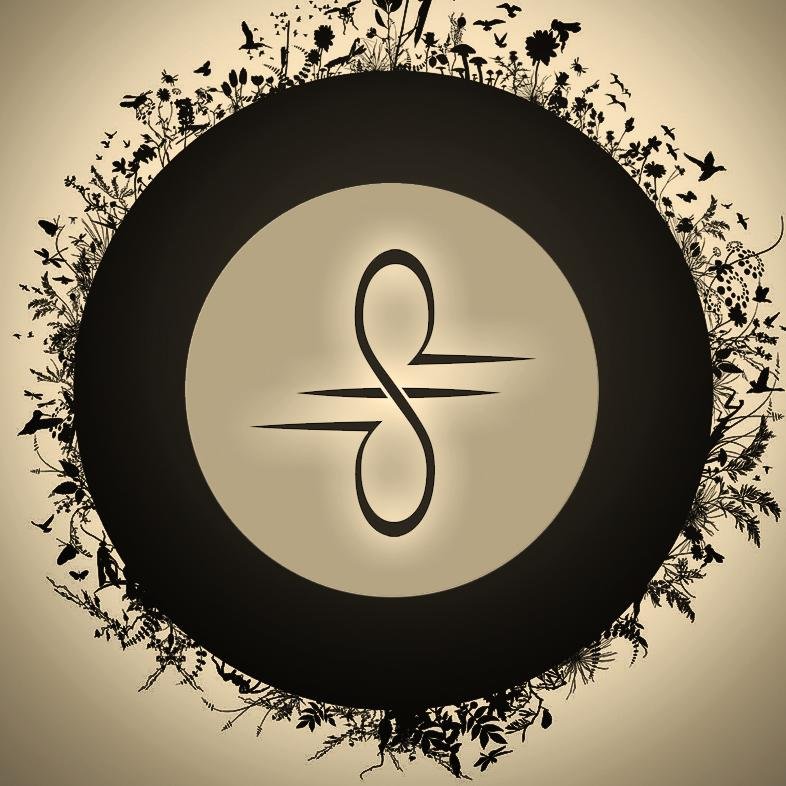 StefGizzi's profile picture. 