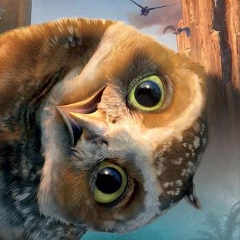 Spraoi_M's profile picture. 