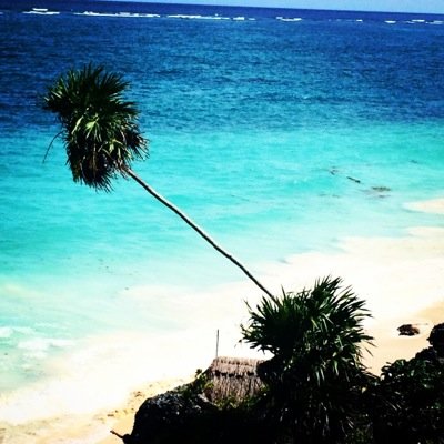 fiona_boker's profile picture. Infection Prevention and Control nurse from London previous district nurse, practicing massage therapist and animal lover.