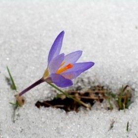 addesigner81's profile picture. 