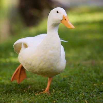 みくるくやないですかーーーｯｯｯ！！！