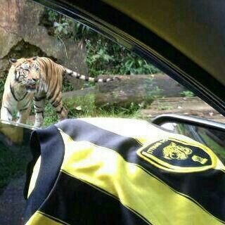 ‏باسل الرفاعي | اتحادي | تشلساوي | ينبعاوي                                      inst :BASSEL111221