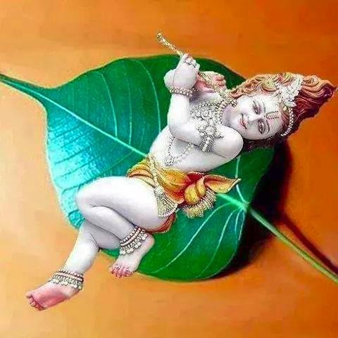 lalita1237's profile picture. 