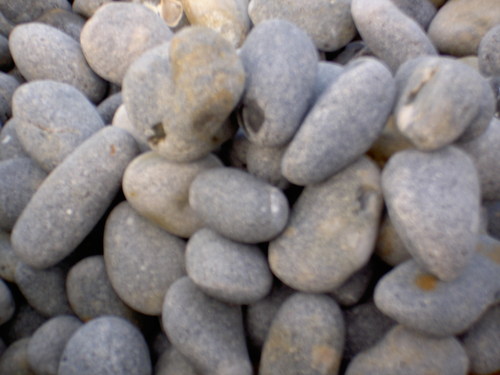 northants_vic's profile picture. Should be doing any one of a number of jobs round the house, but Twitter lures me in.