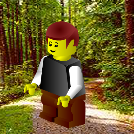 leszoizos's profile picture. Oiseau de passage