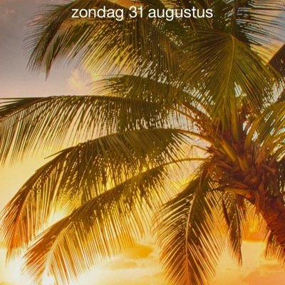 SimonsBenny's profile picture. 