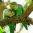 ToptwitsES's profile image